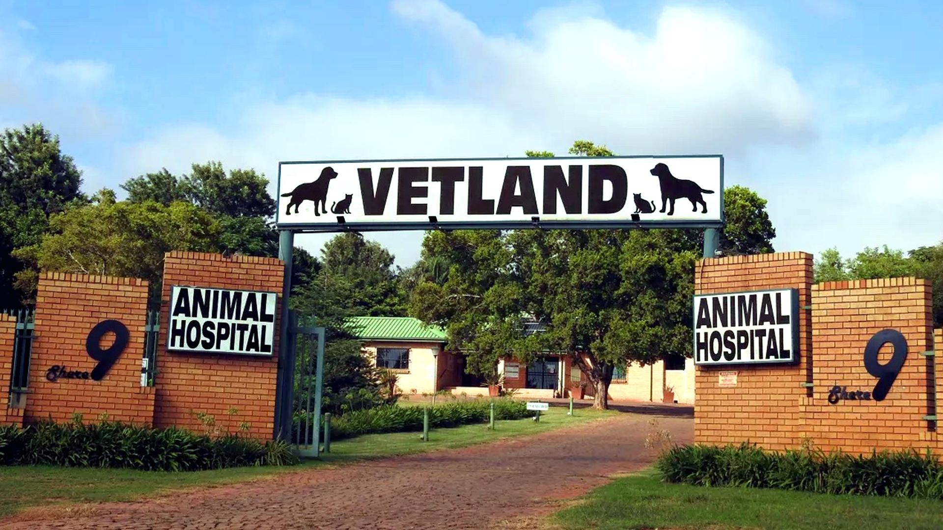 Vetland Animal Hospital