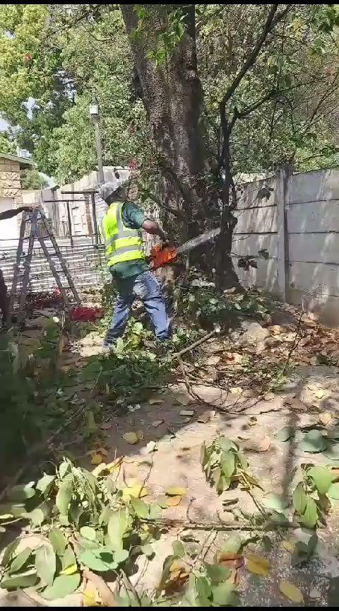 Ecoscape Landscaping &amp; Tree Felling Pretoria East