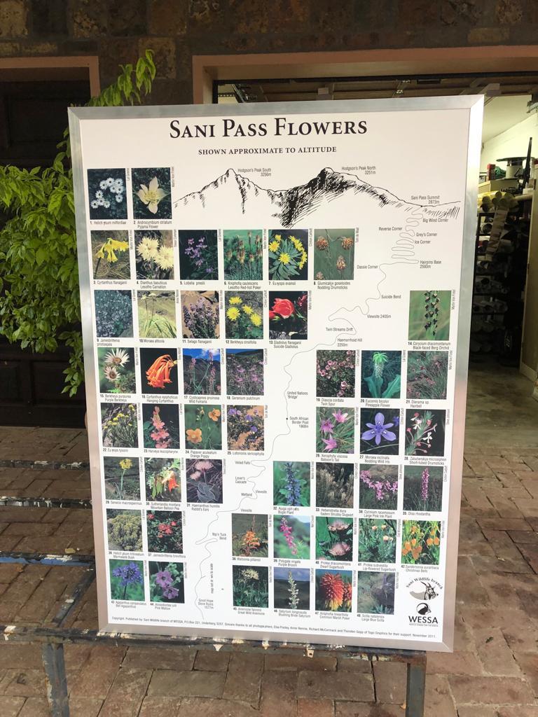 Unlimited Signs
