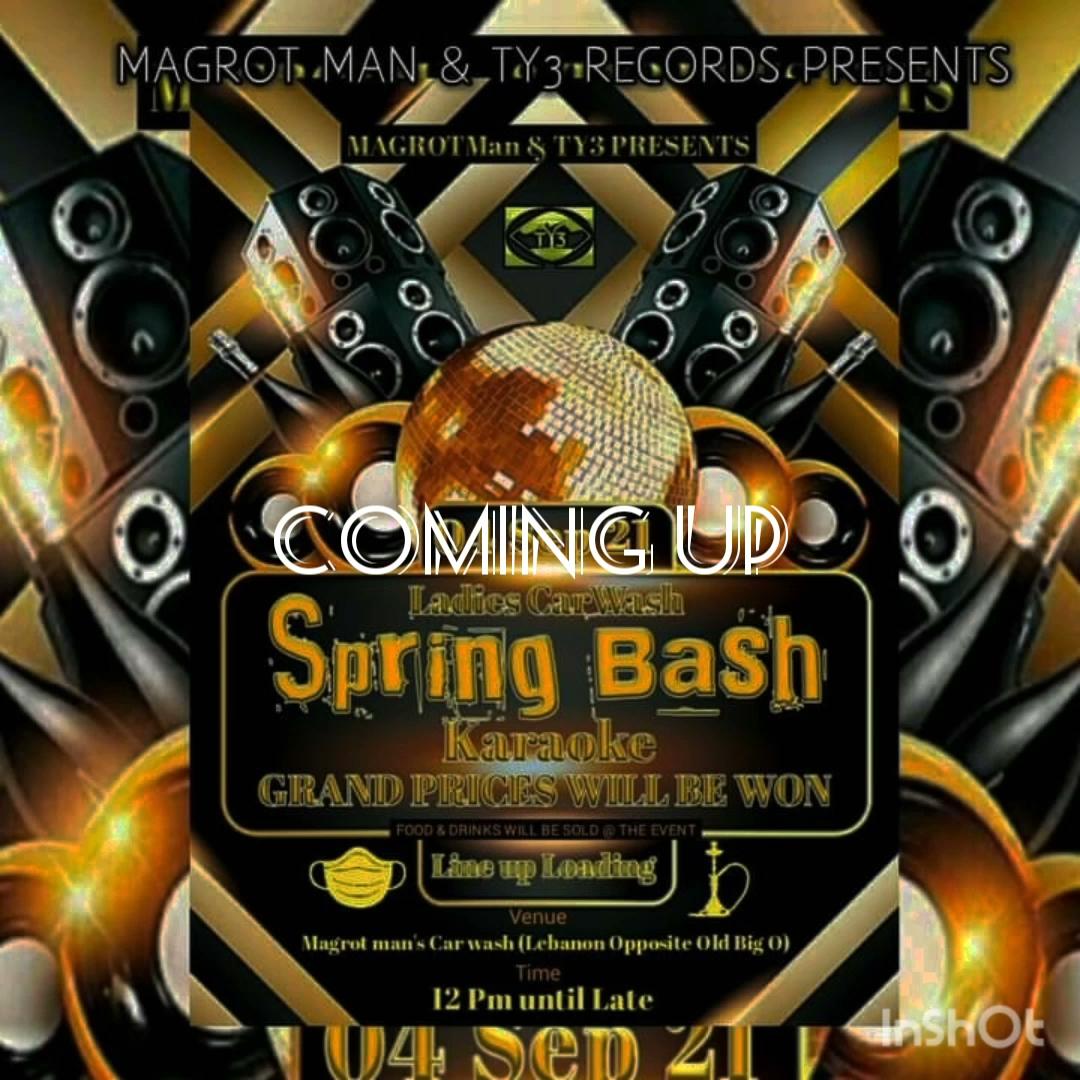 TY3 THE YOUNG TREEZ PTY LTD