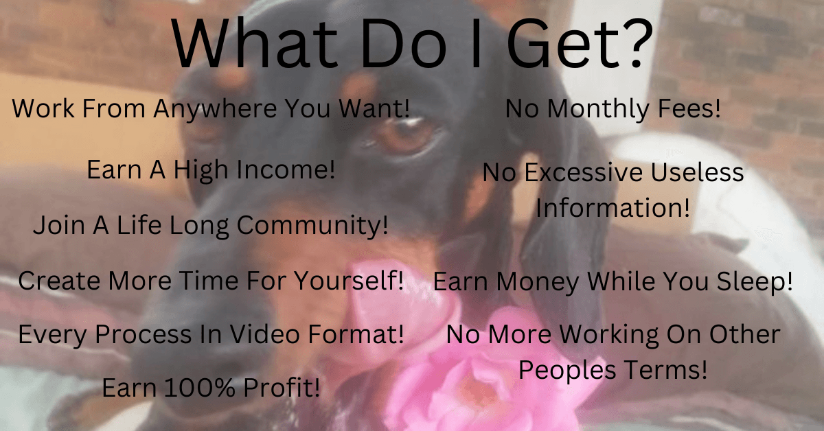 Earning With Arnus