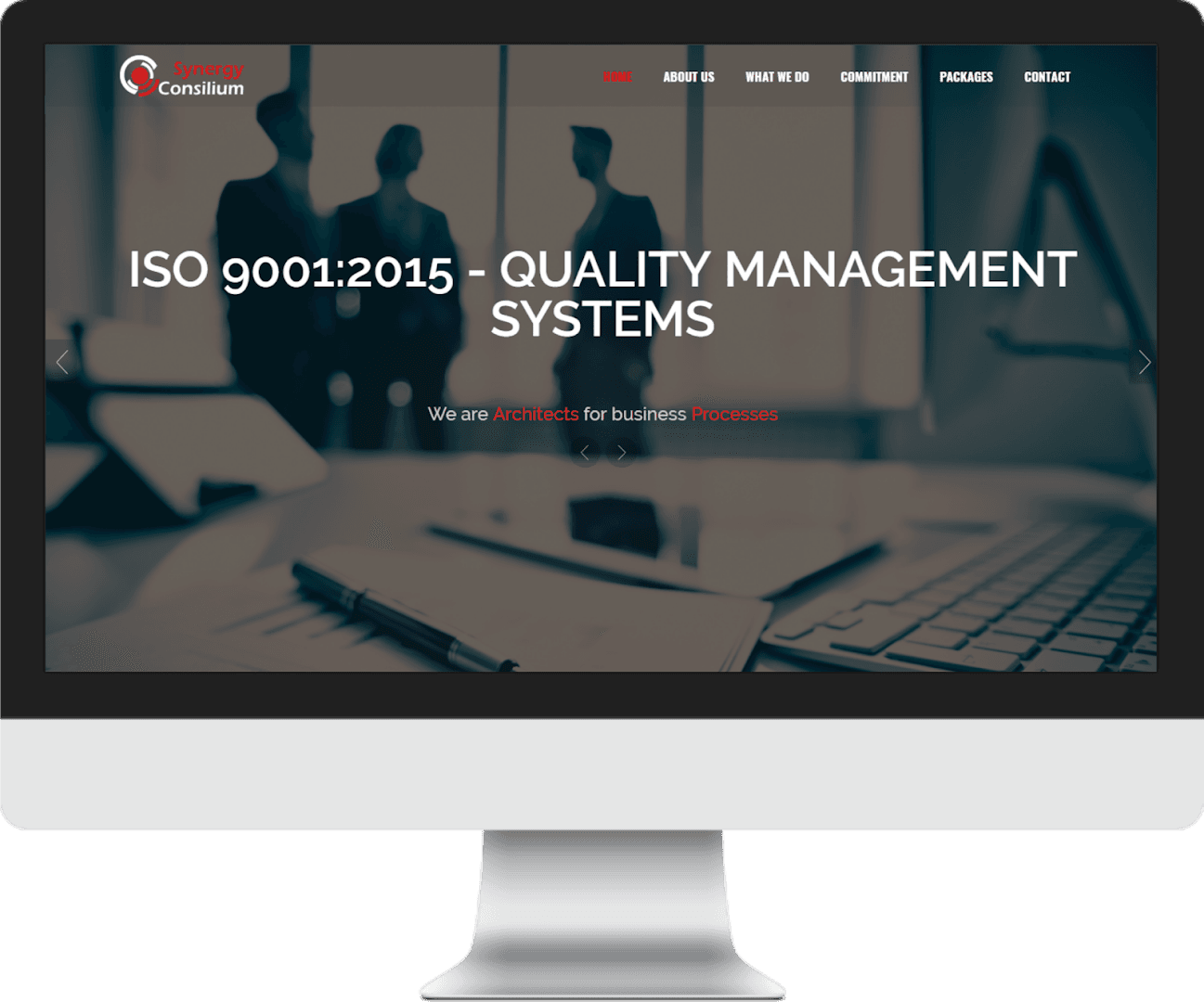 Synergy Consilium (PTY) Ltd