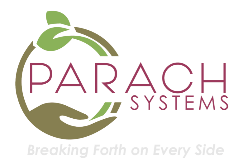 Parach Systems (Pty) Ltd
