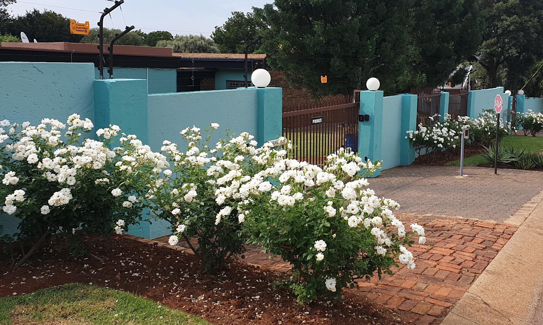 Tree of Life Care (Pty) Ltd