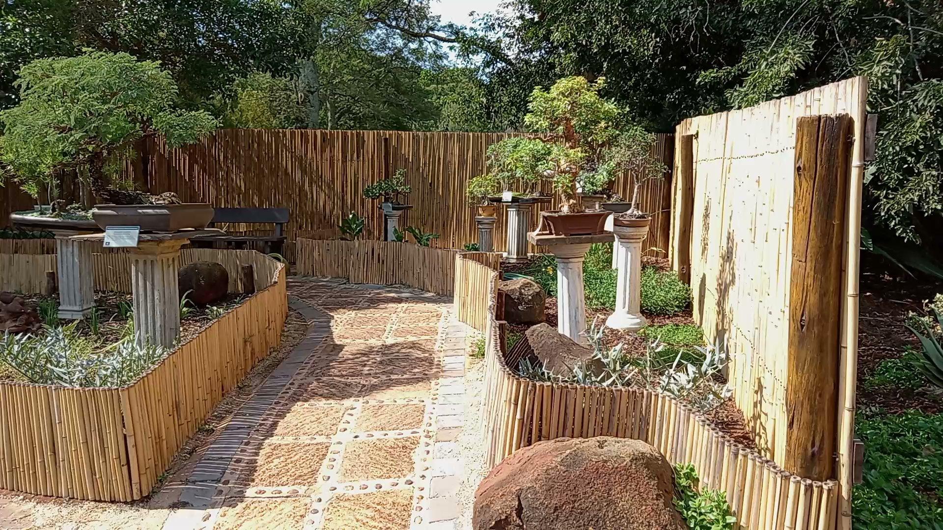 Pretoria National Botanical Gardens