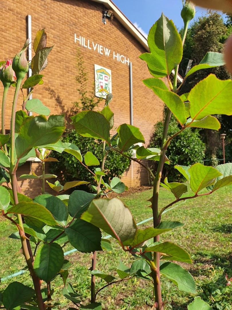 Hillview High School