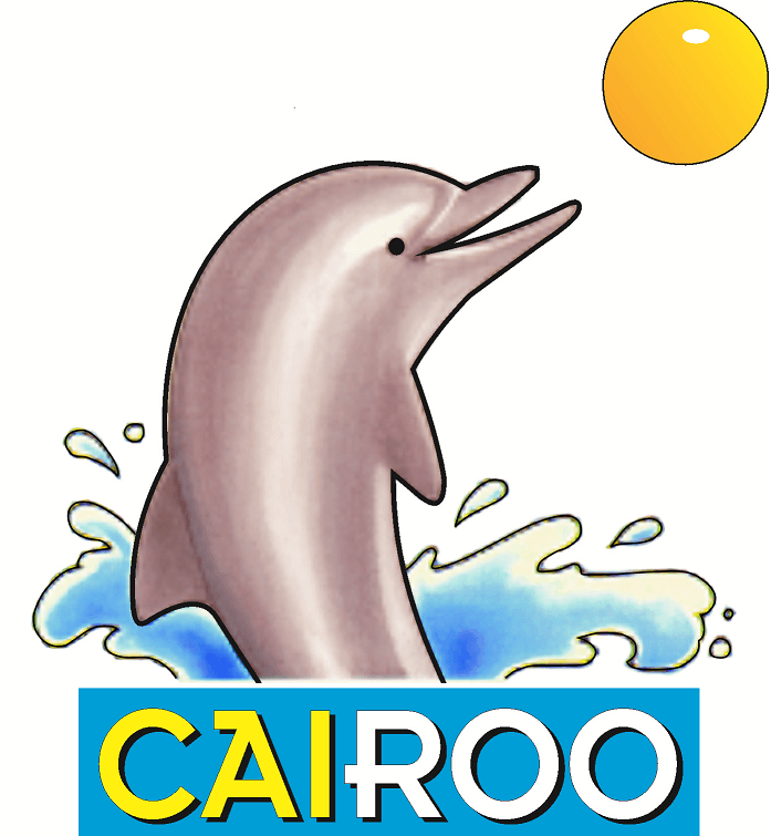 Cairoo Educational Software