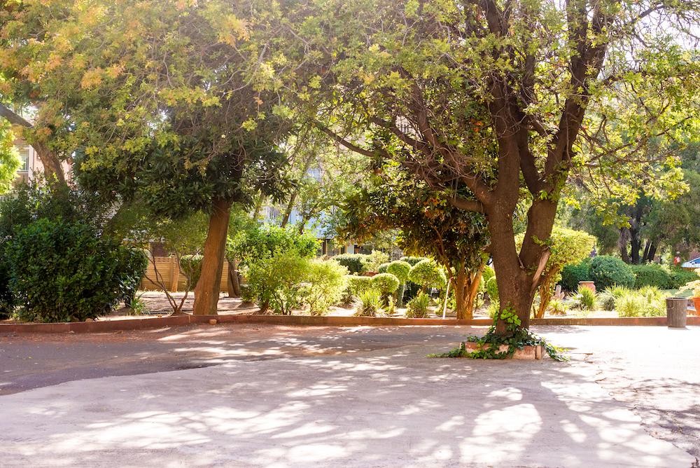 Iona Convent School