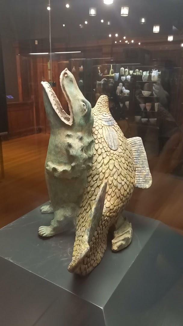 University of Pretoria Museums