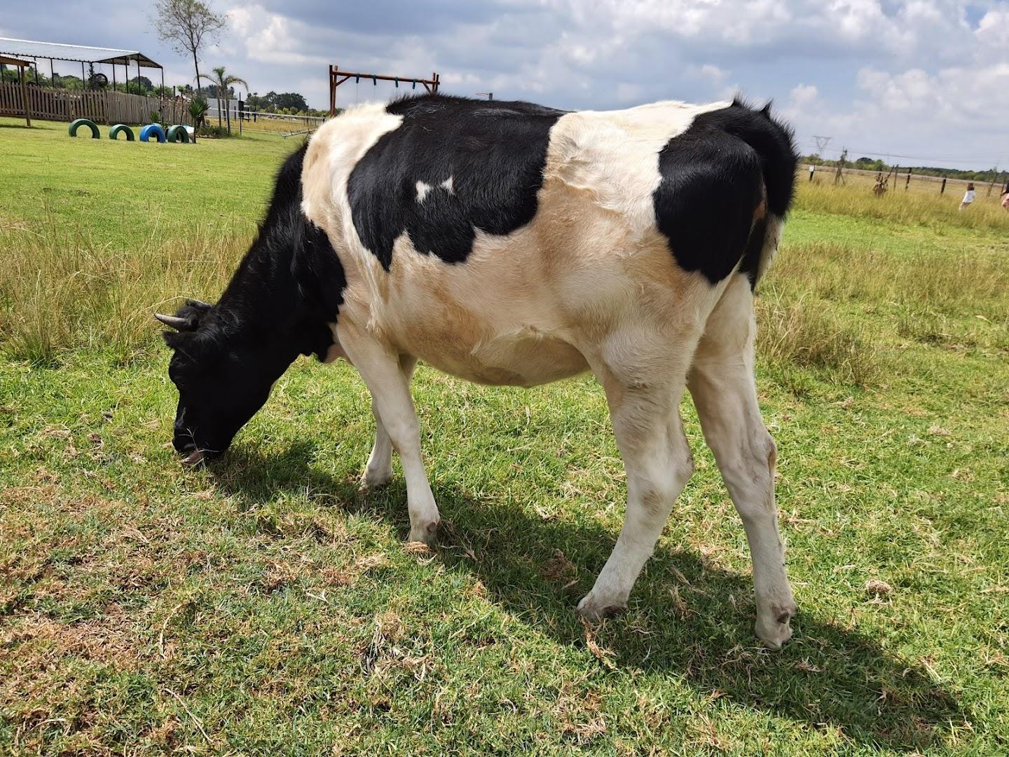 Ashers Farm Sanctuary