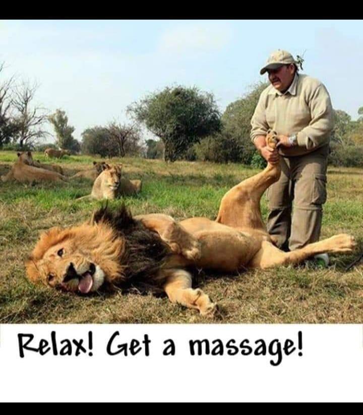 The Estate Spa