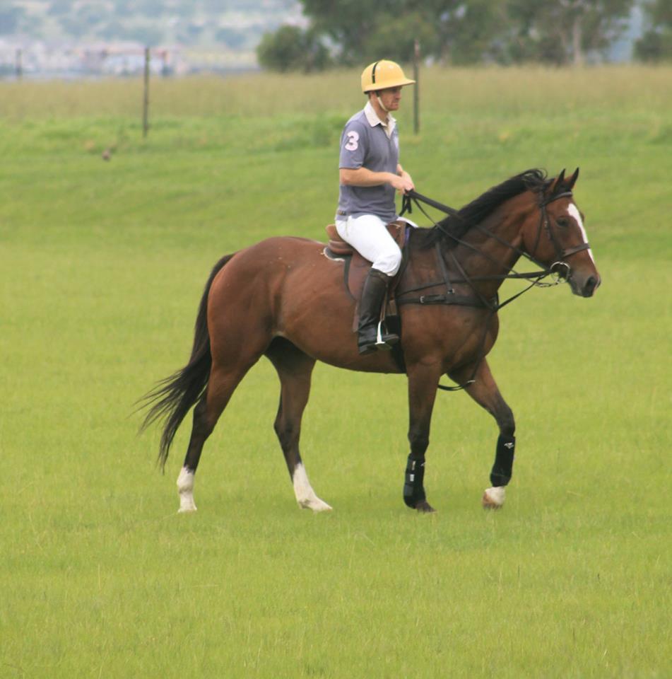 Rosefield Polo Club / Academy