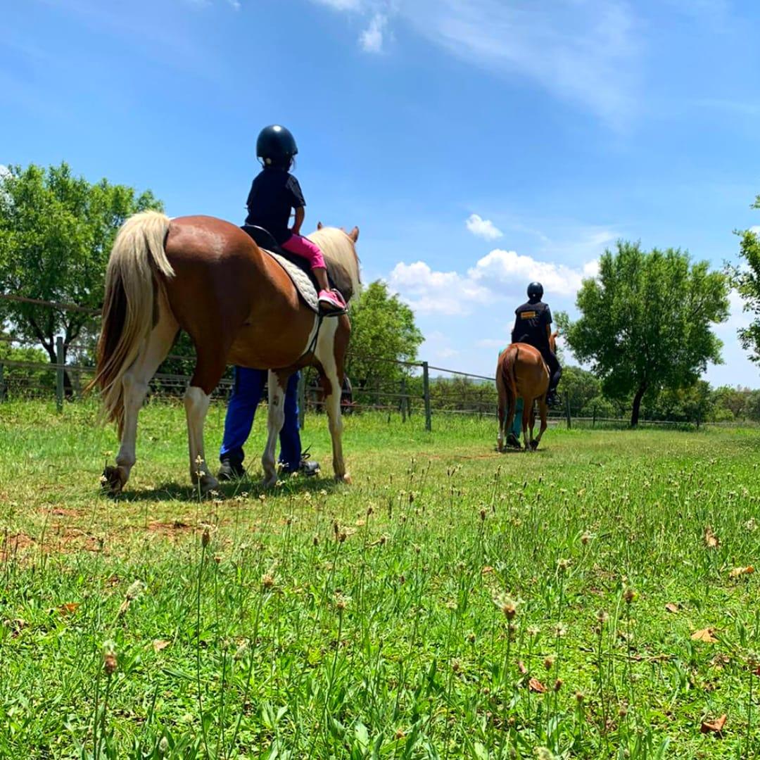 Saddle Up Riding Centre