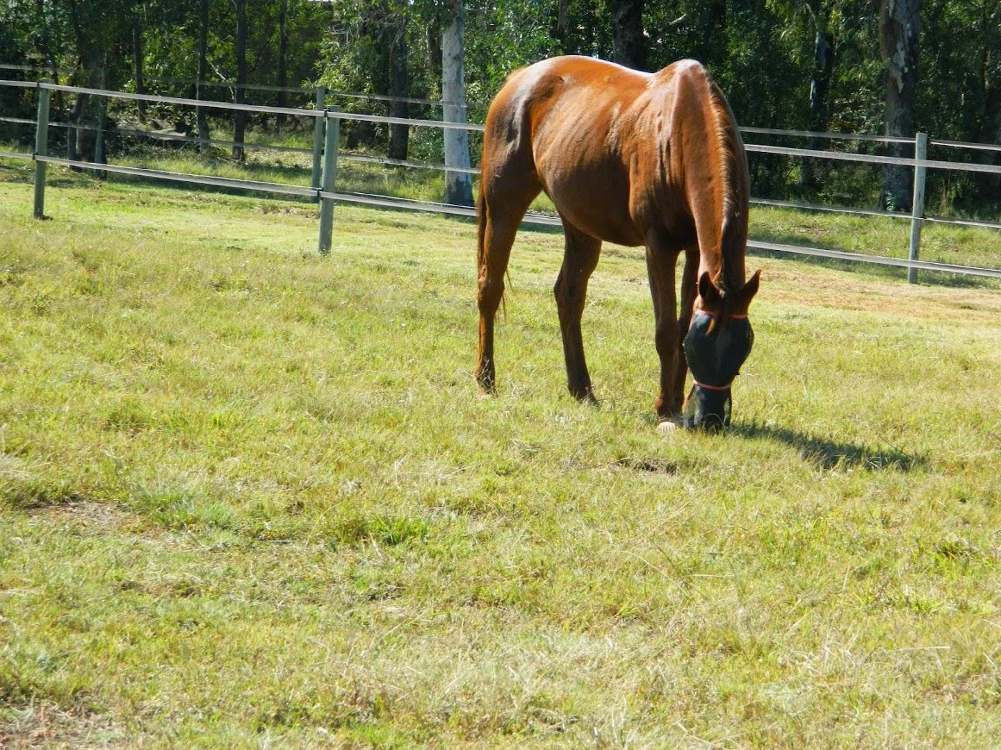Hoofside Equestrian Centre