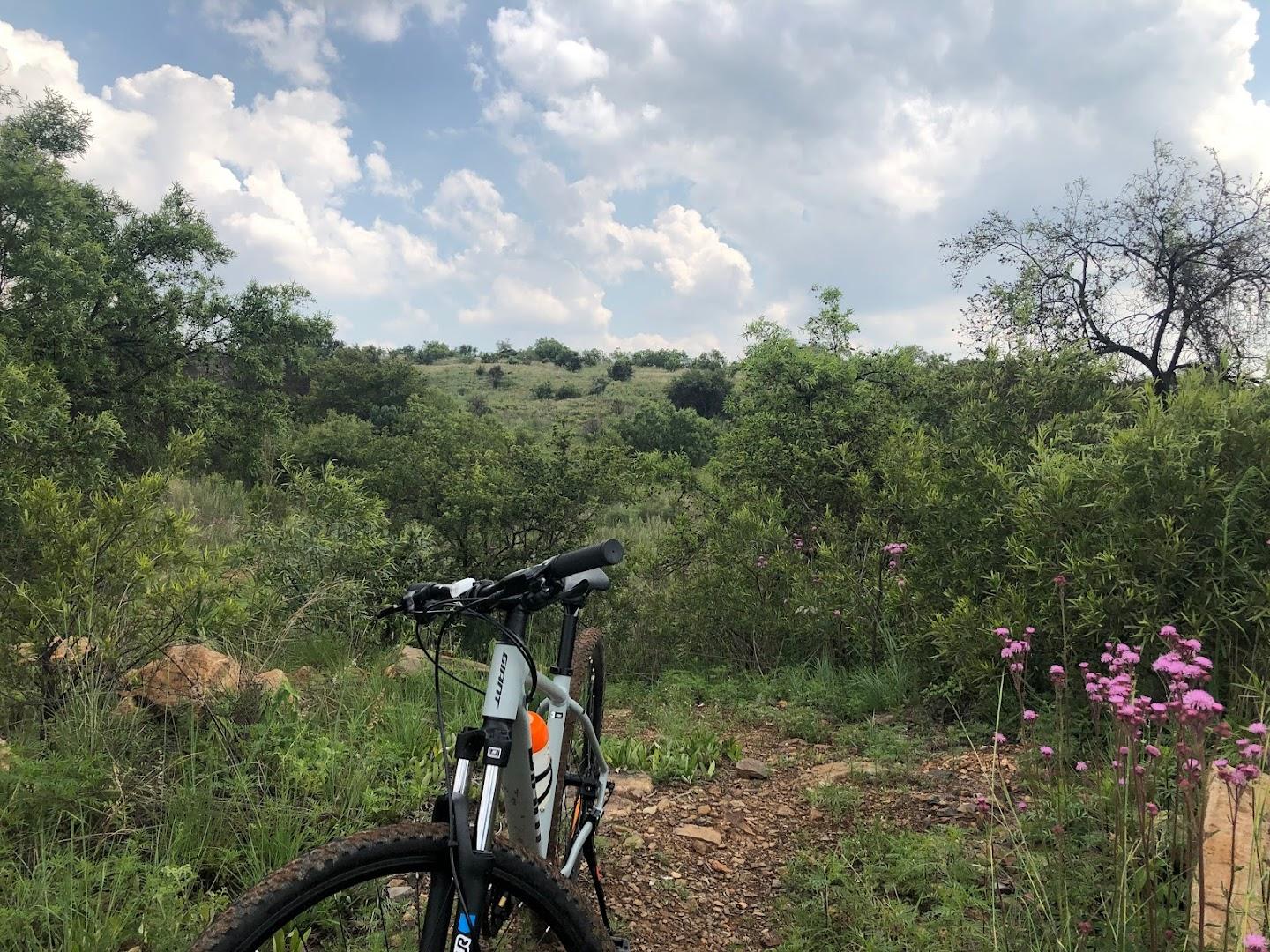 CopperTrails