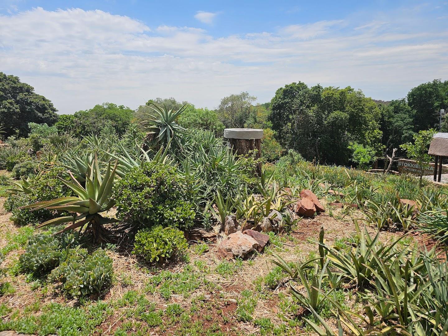 Voortrekker Monument Bike Park
