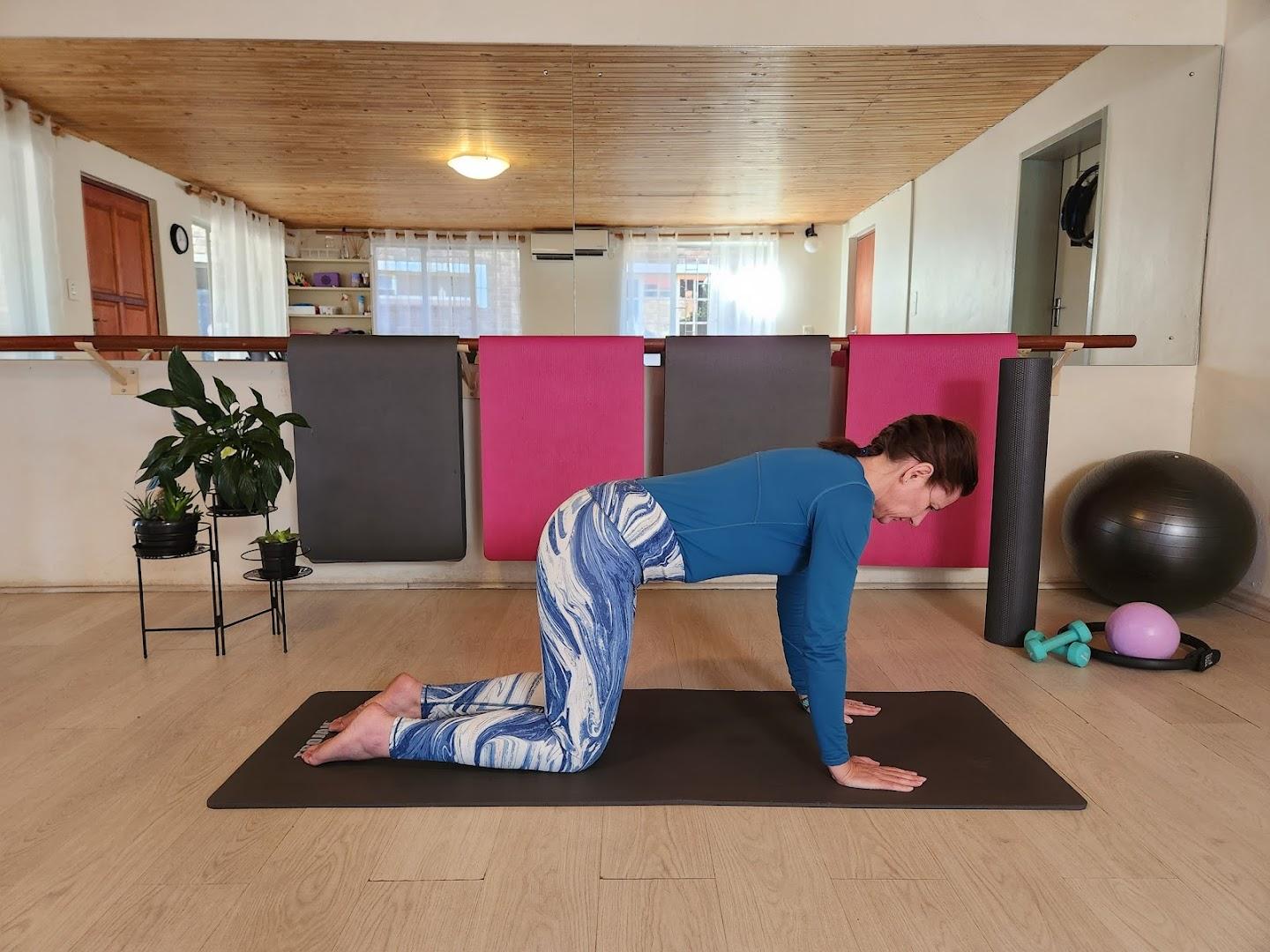 Wellness with Lauren