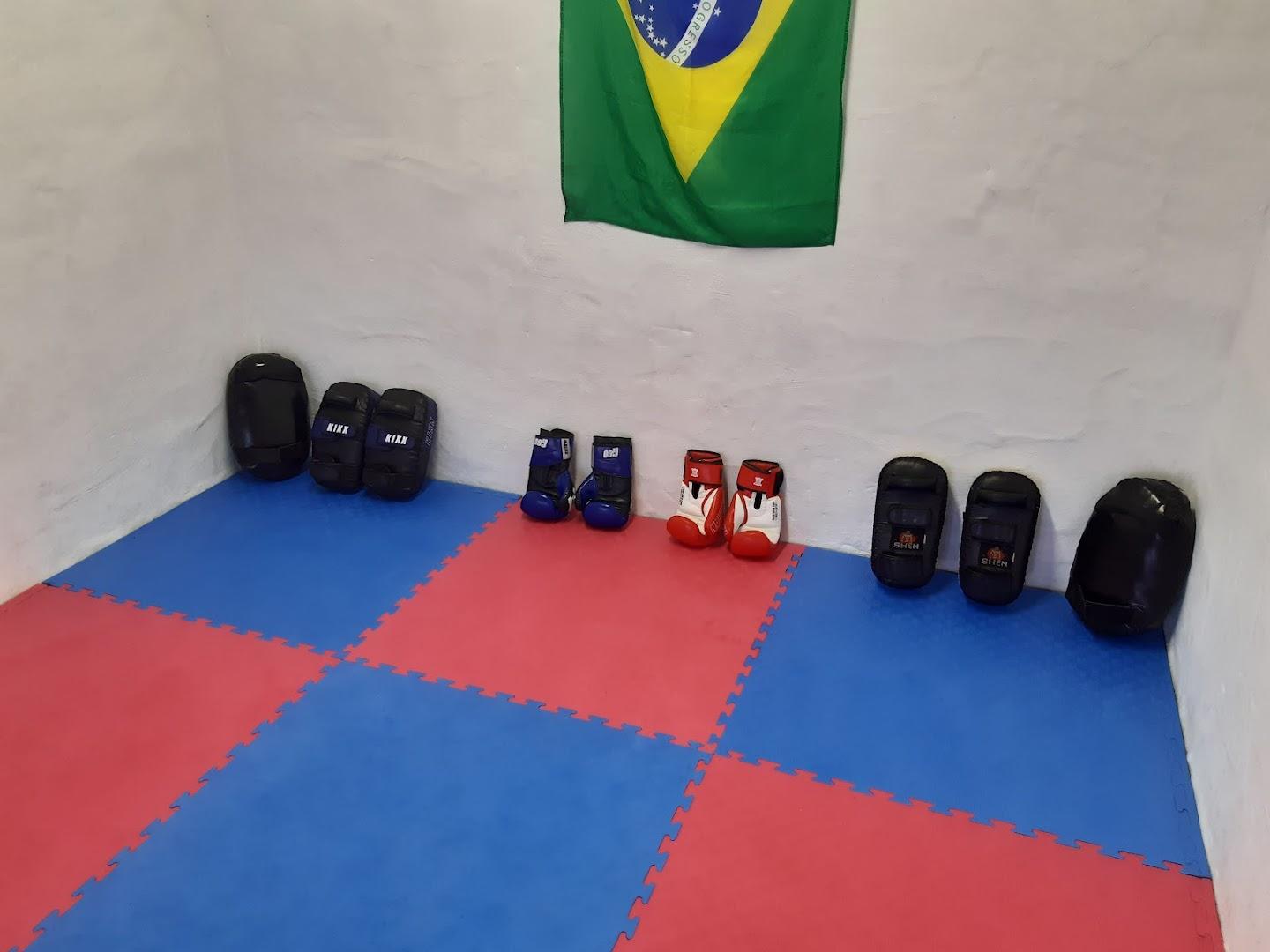 Martial Way Fighting Systems