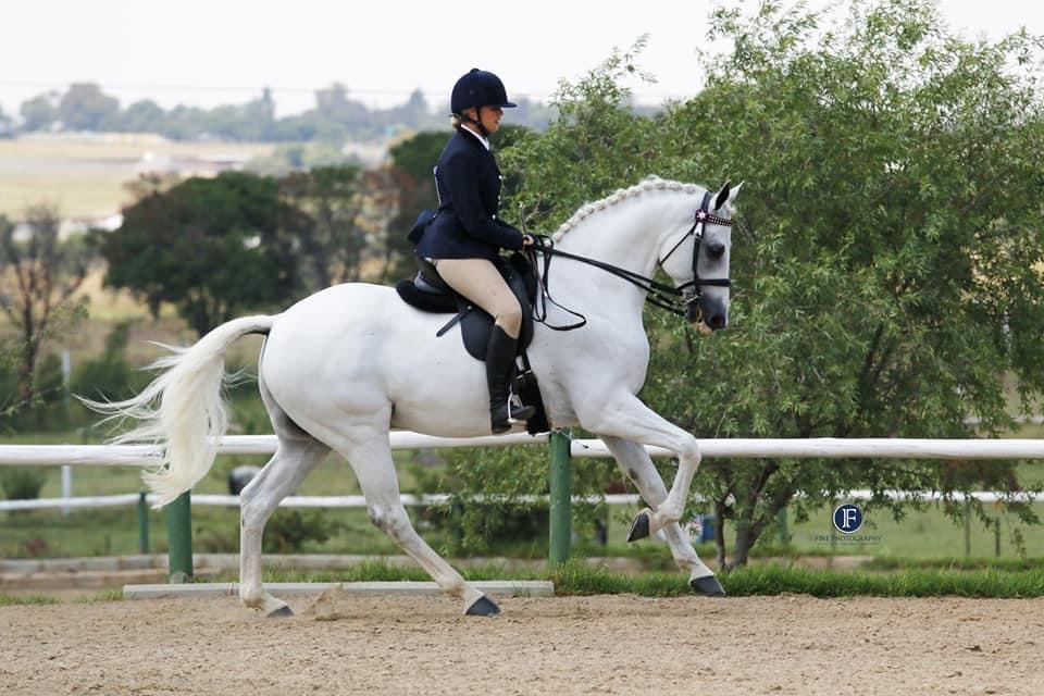 Kyla Brown Equestrian
