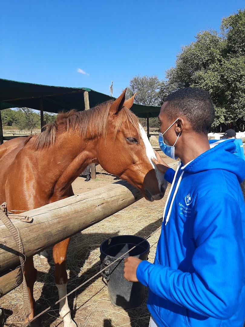 Zwavelpoort equestrian estate