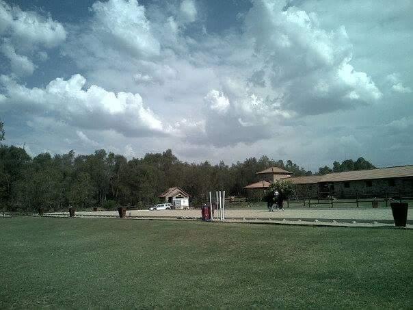 God's Gift Stables