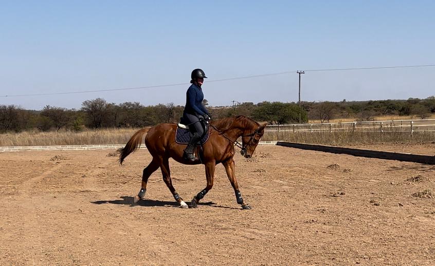 Alora Equestrian Centre