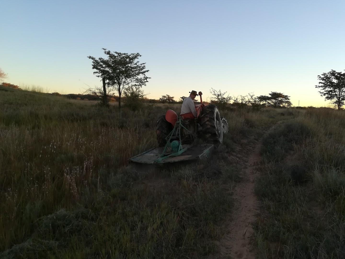 KrokkeNosterSpruit