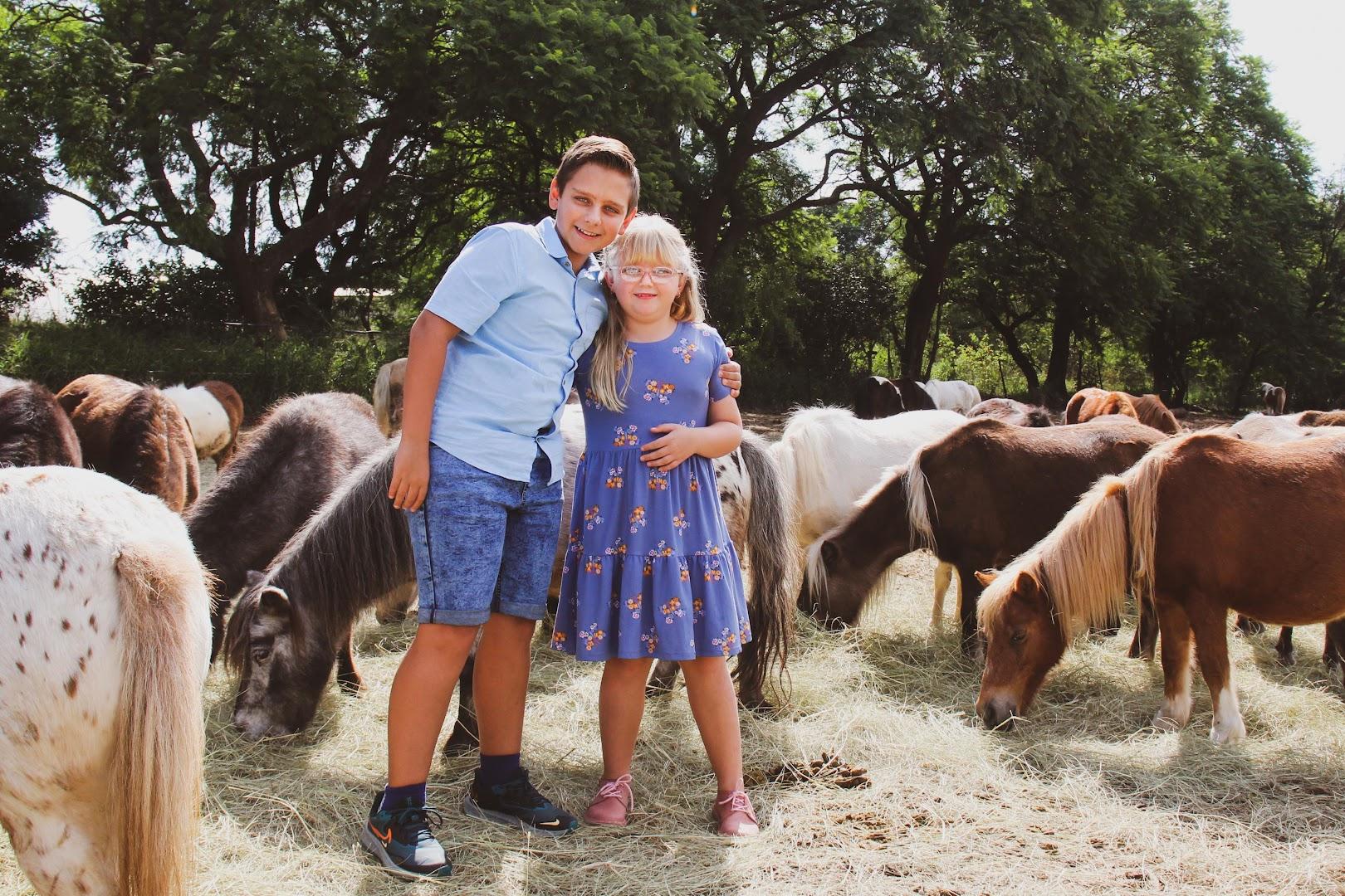 Meet the Minis