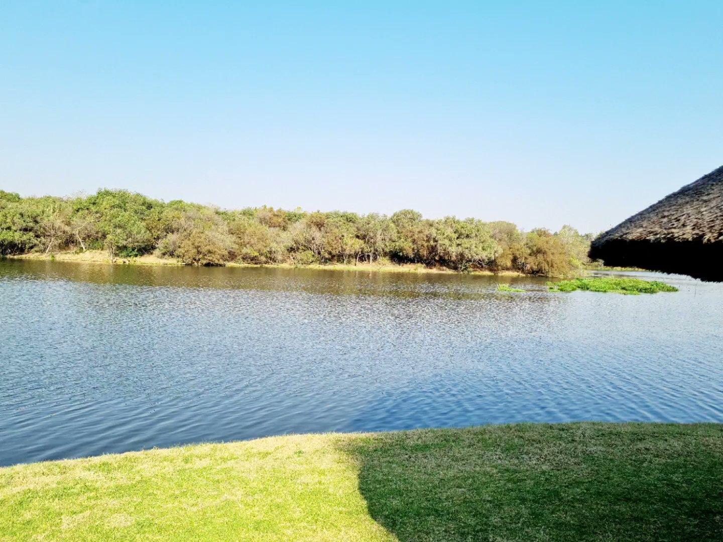 Roodeplaat Dam Provincial Nature Reserve