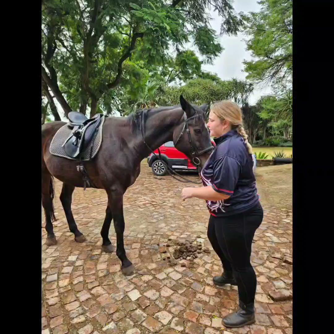 Driftwood Stables &amp; Equine Hydrotherapy Spa