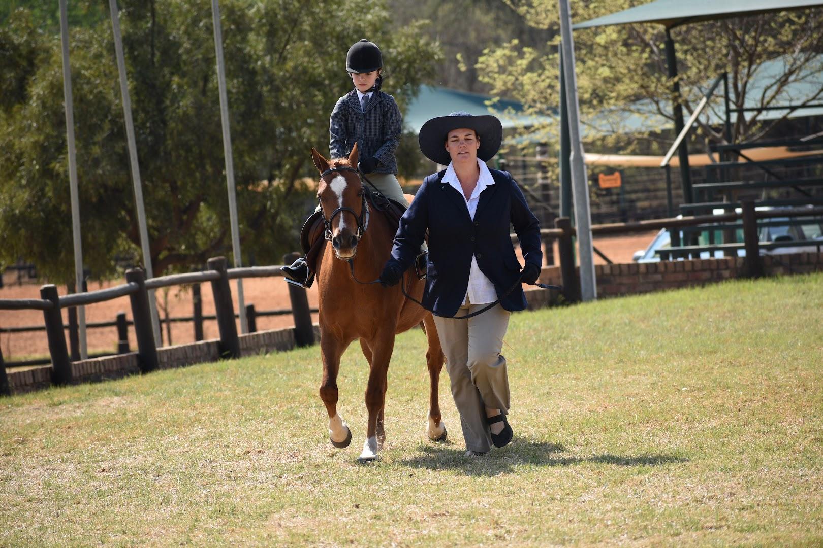 The Burgh Equestrian