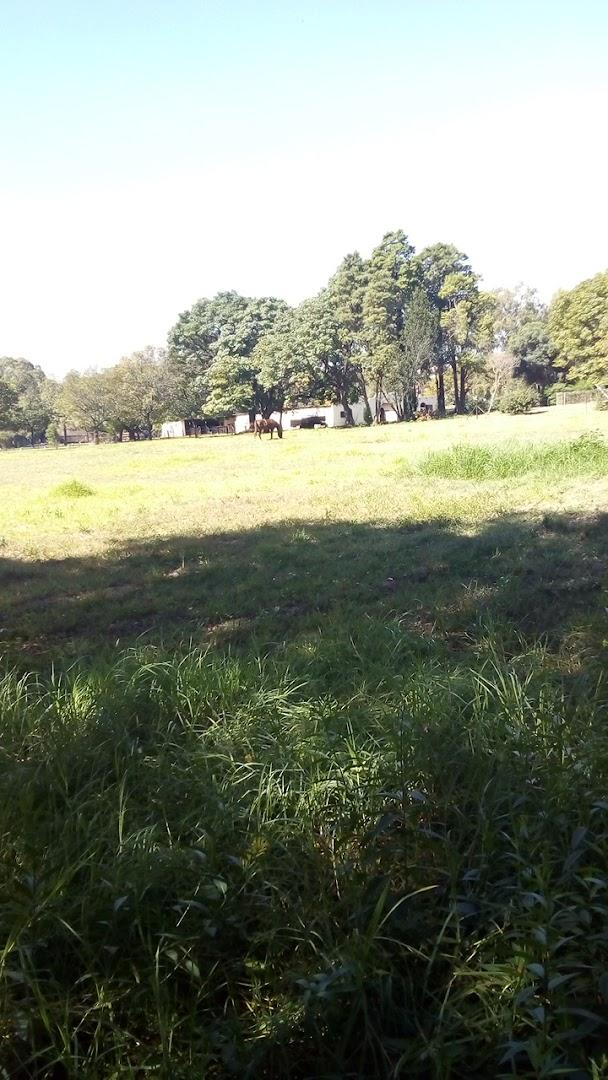 Rifkin Riding School