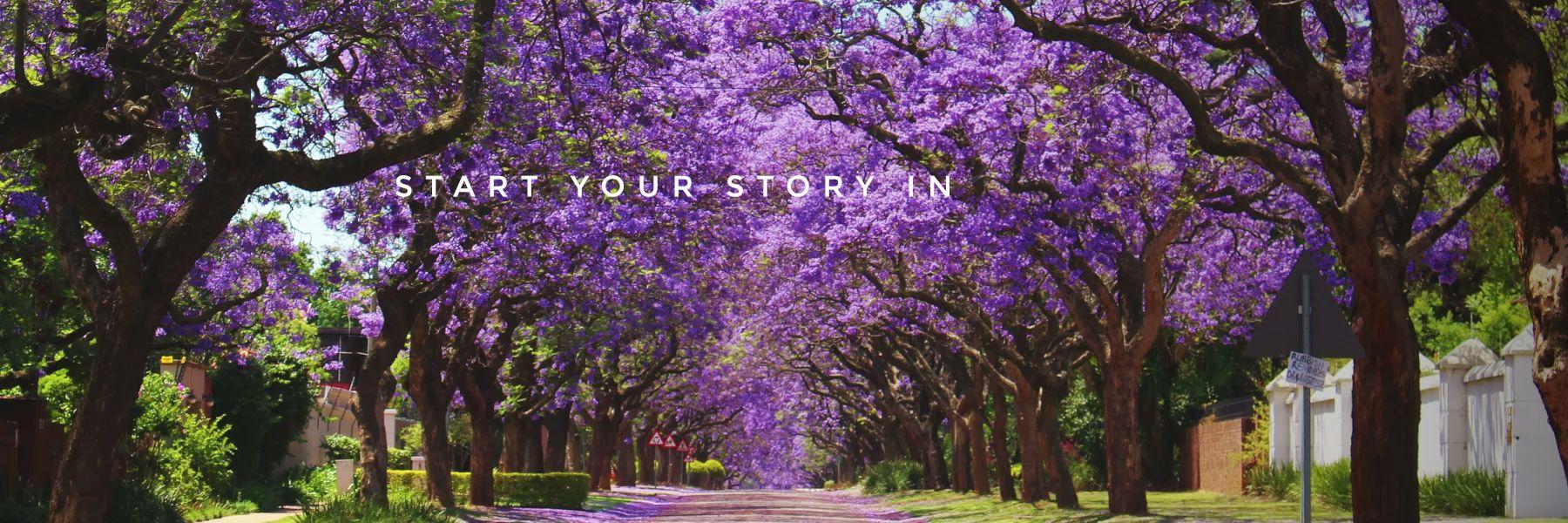 Fine &amp; Country Pretoria Old East
