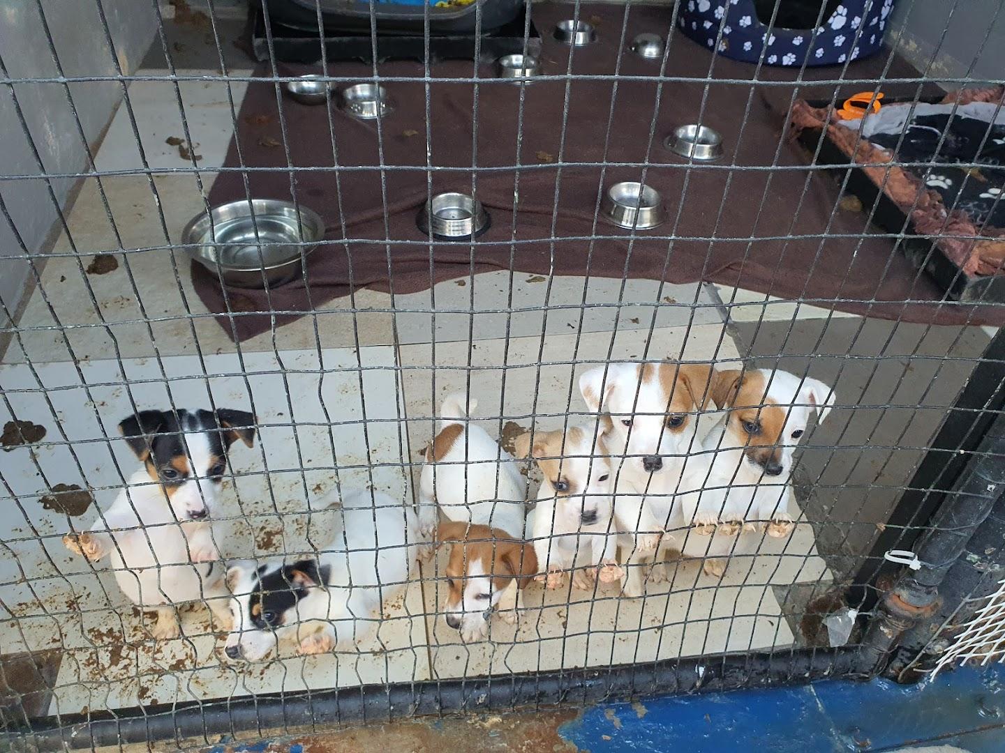 SPCA Centurion