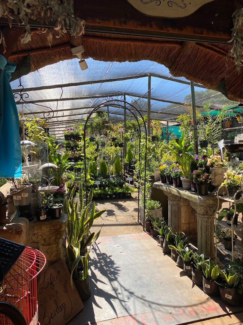Bergmann's Garden Centre
