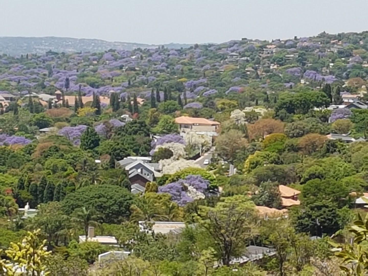 Groenkloof