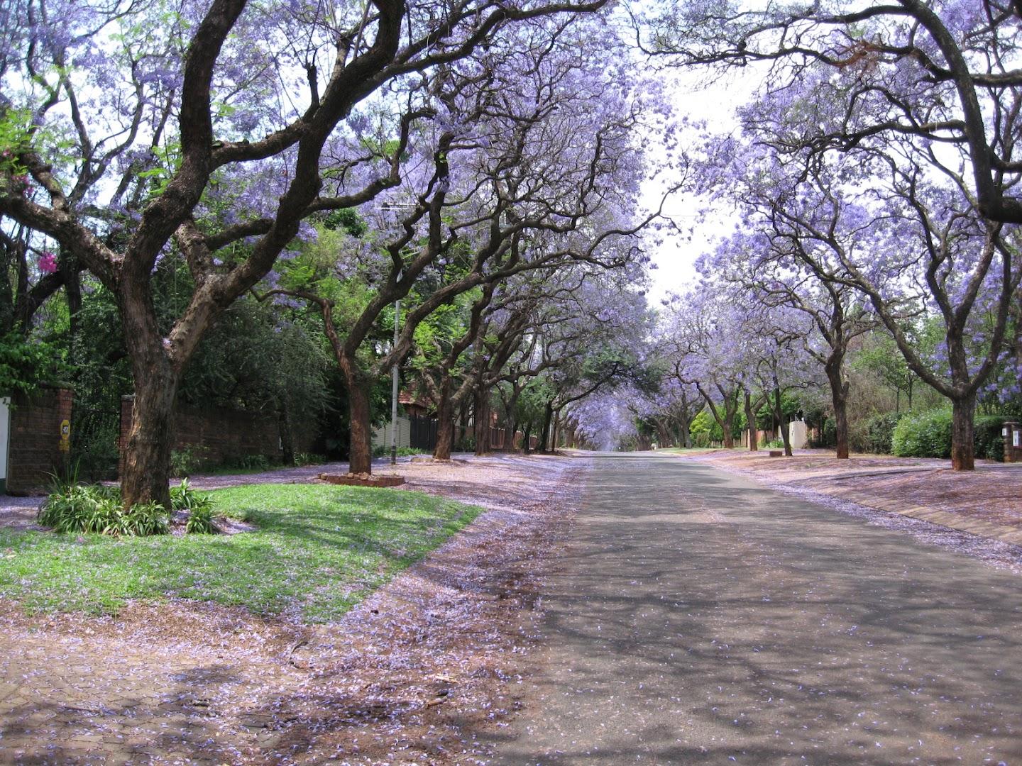 Park Travel Agency (Pty) Ltd (Pretoria)