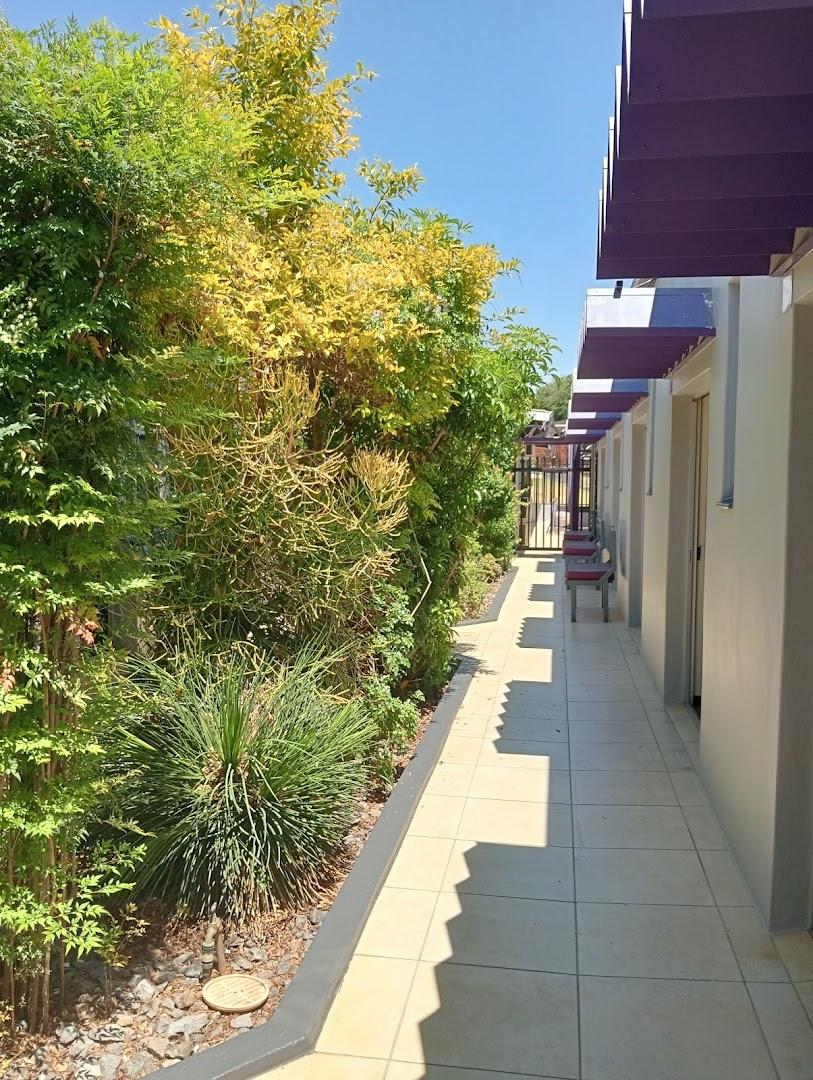 Absolute Divine Glow - Lyttelton Holistic Clinic