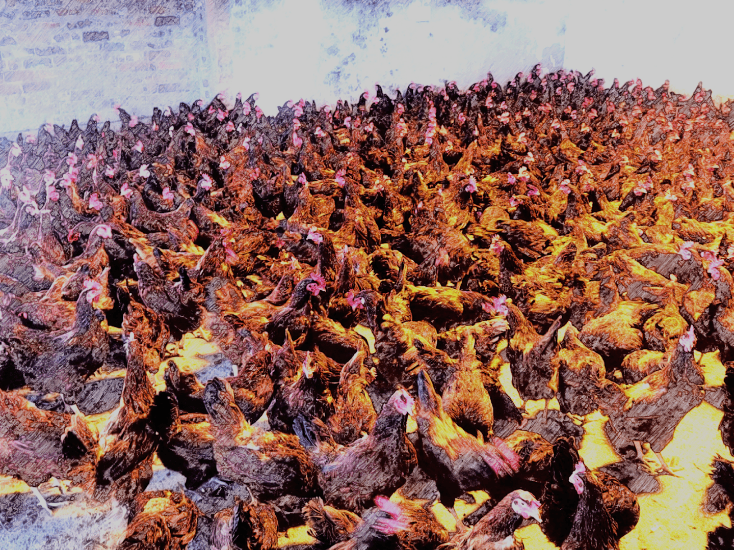 THE CHICKEN STOP