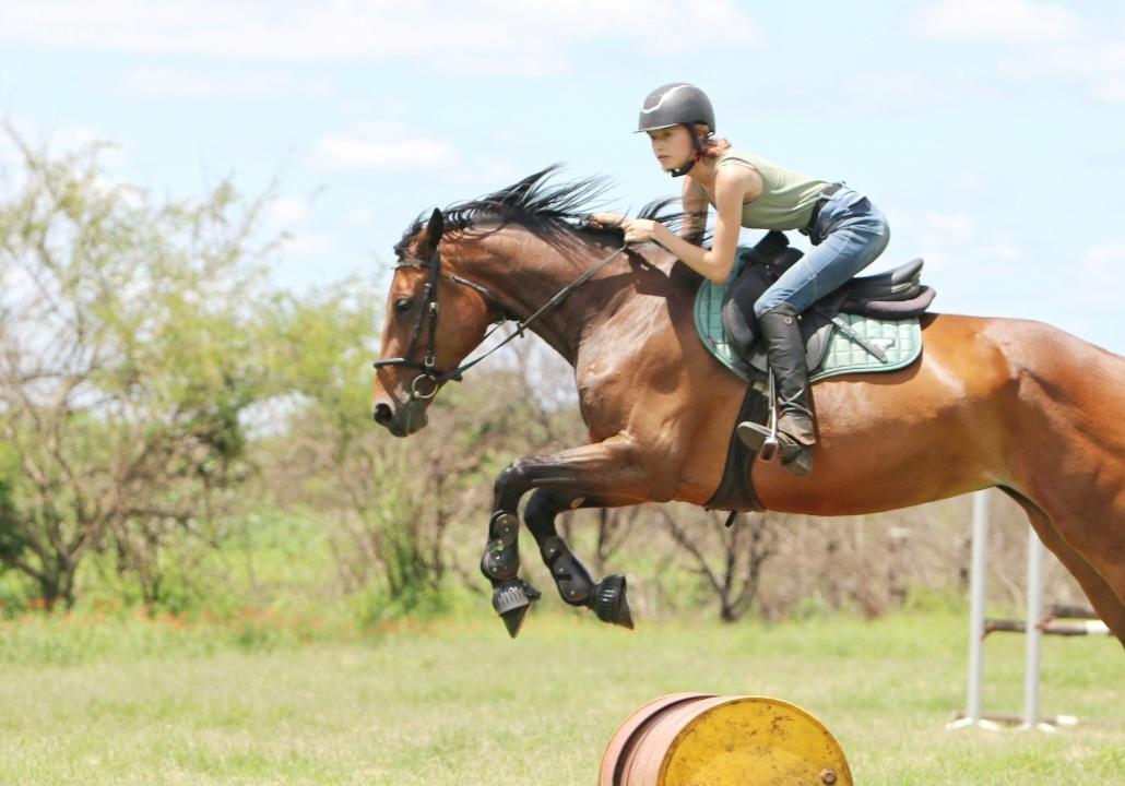 Harmony Horsemanship Stables