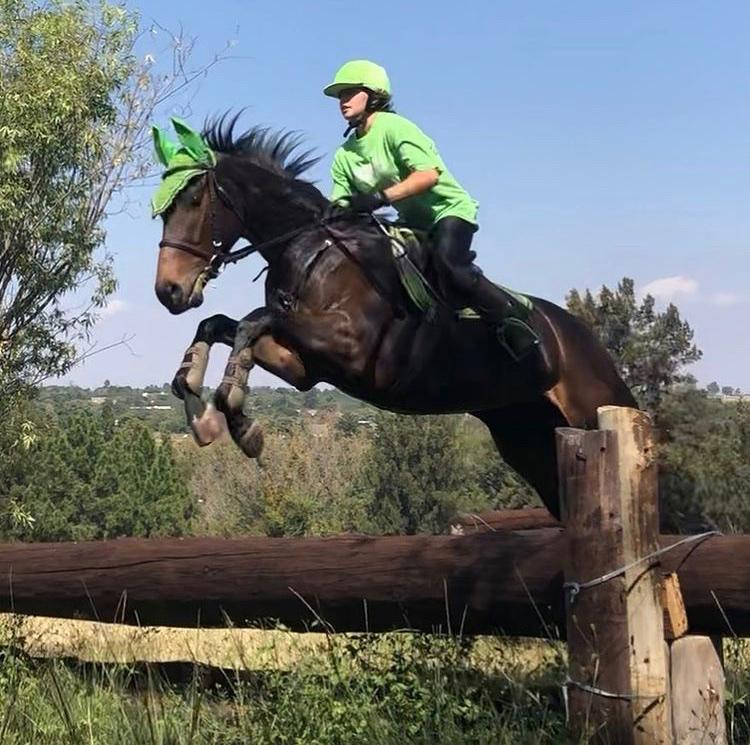 New heights equestrian