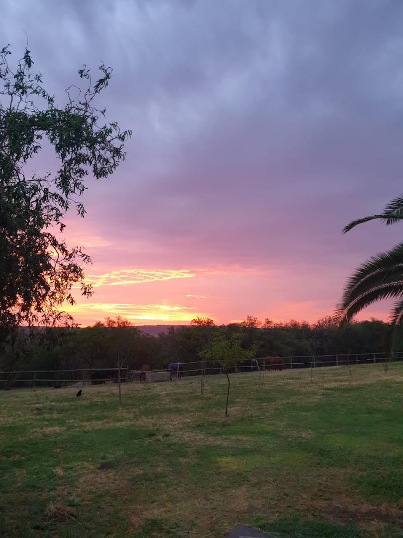 Foxhill Equestrian Centre