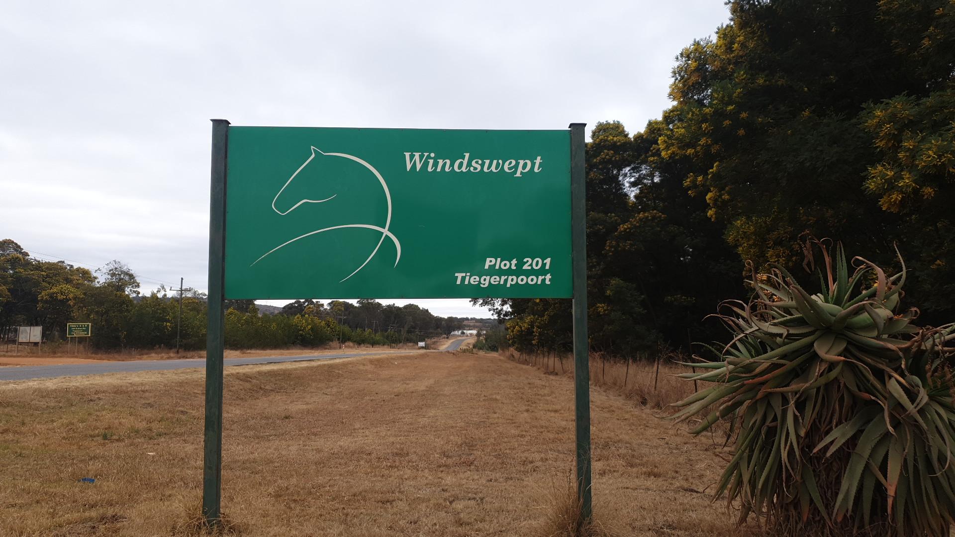 Windswept Stables