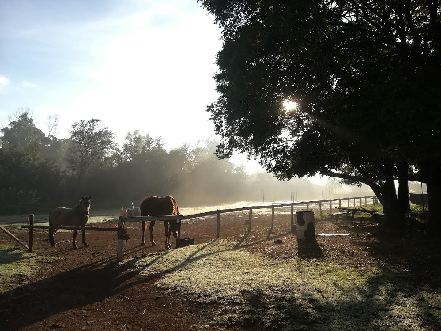 I-Quest Stables