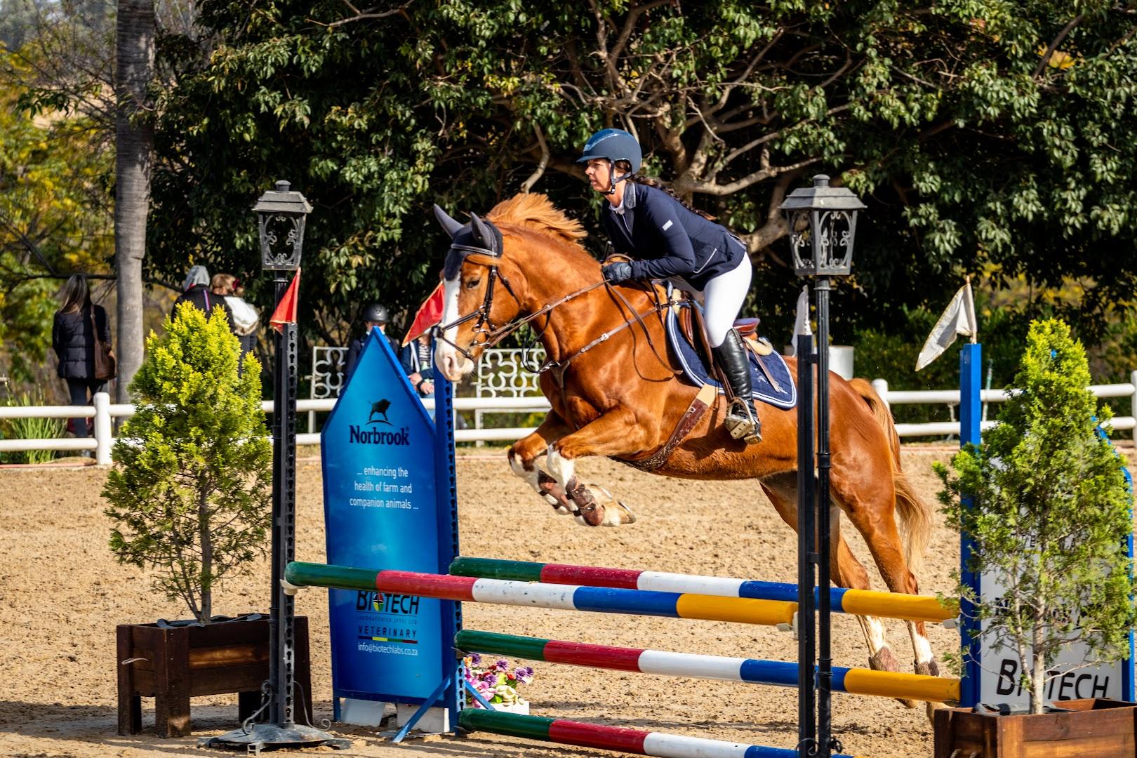 Mount Riviere Stables