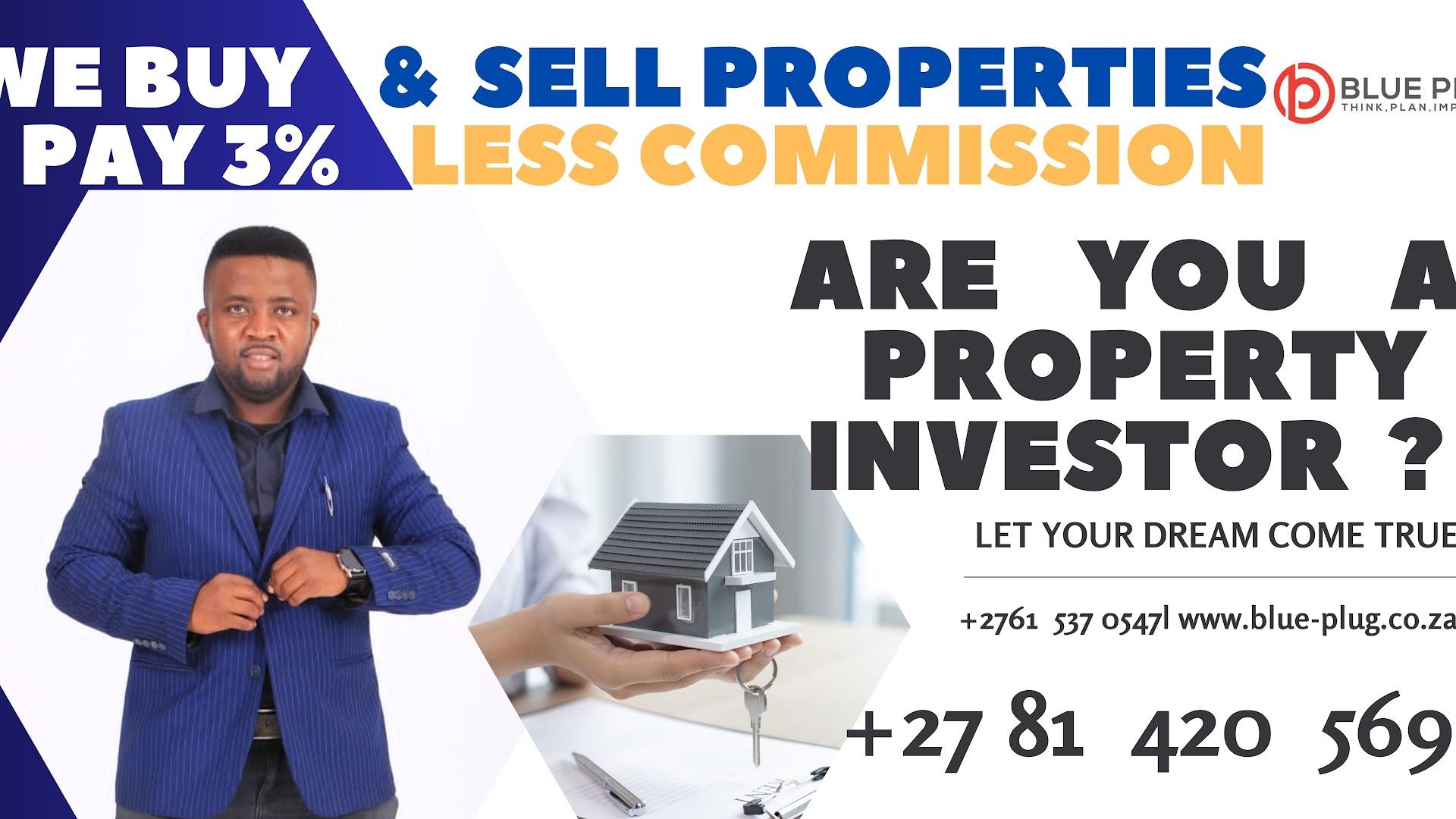 Blue Plug Property Consulting firm