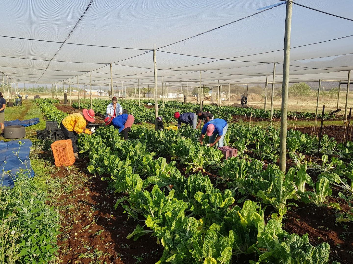 Kameeldrift Agricultural Estate