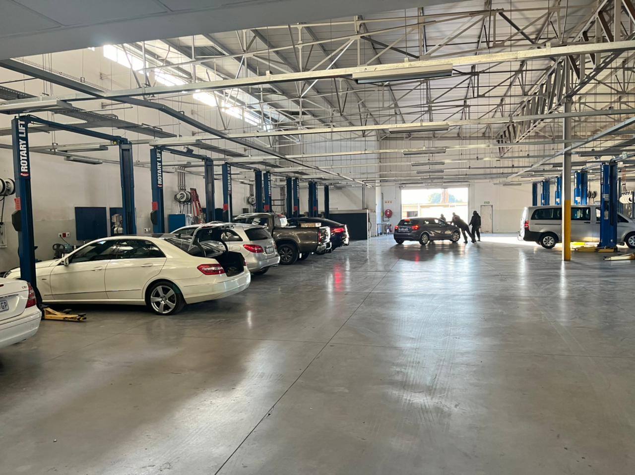 Mercedes-Benz Wonderboom