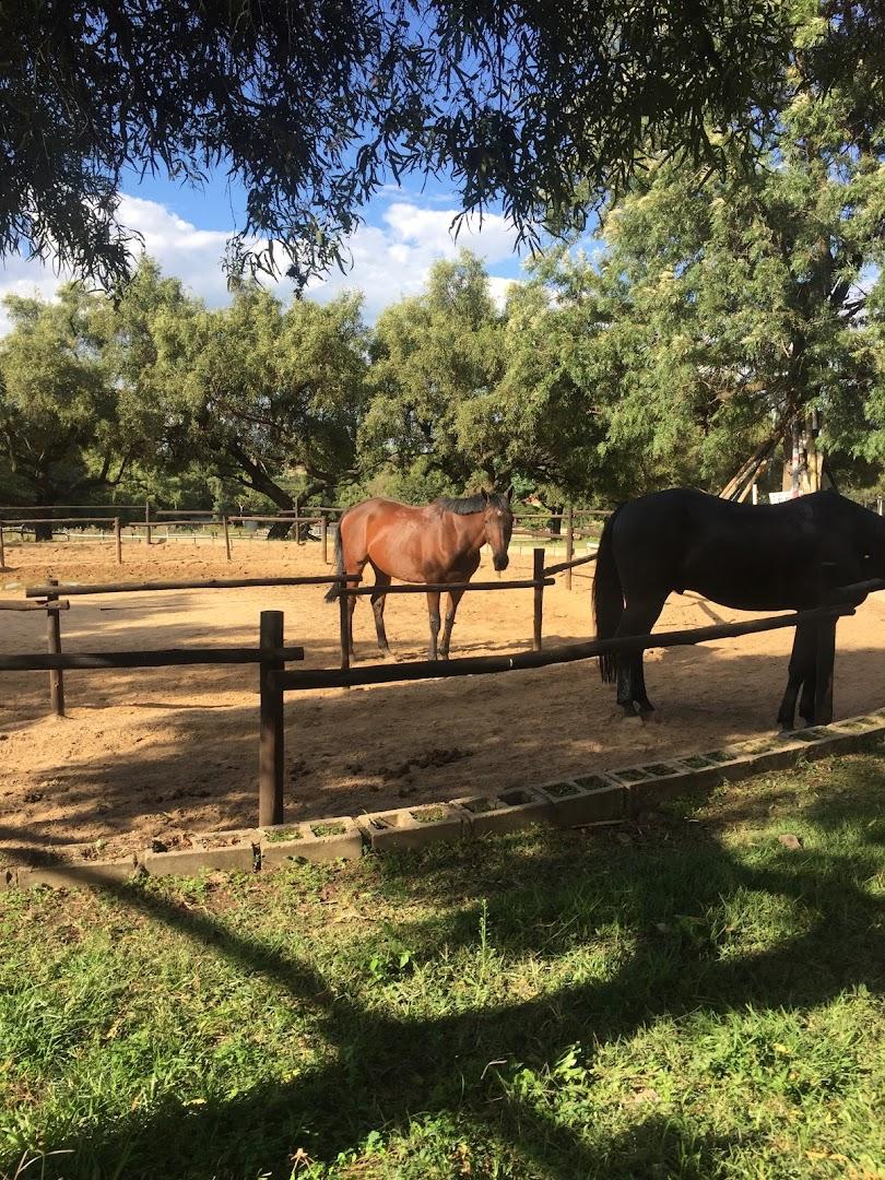 SILVER OAKS EQUESTRIAN CENTRE