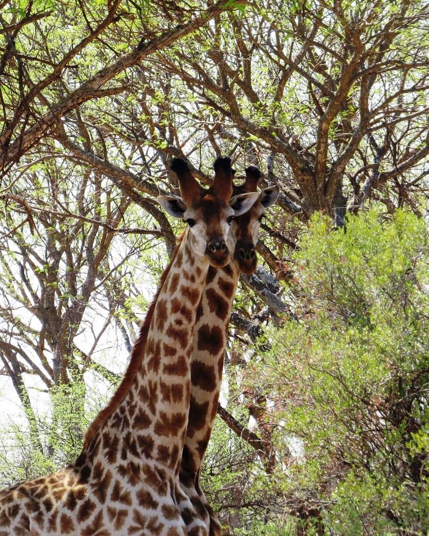 Rust de Winter Conservancy
